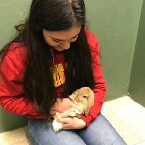 Meet your Posher, Izzy